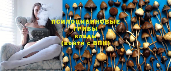 mix Алексин